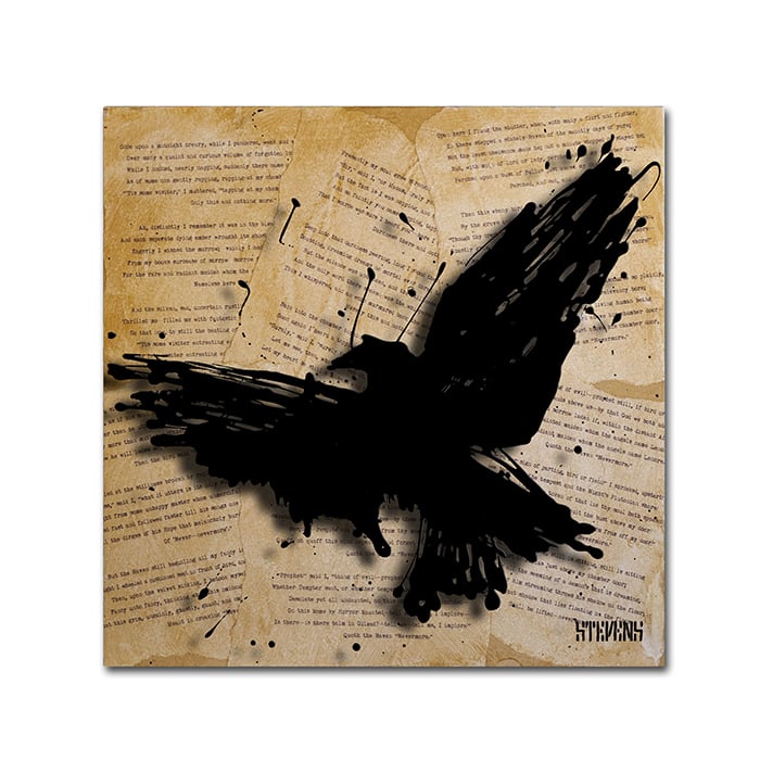 Roderick Stevens The Raven 2 Canvas Wall Art 14 x 14 Image 1