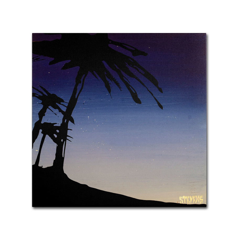 Roderick Stevens Evening Palms Canvas Wall Art 14 x 14 Image 1