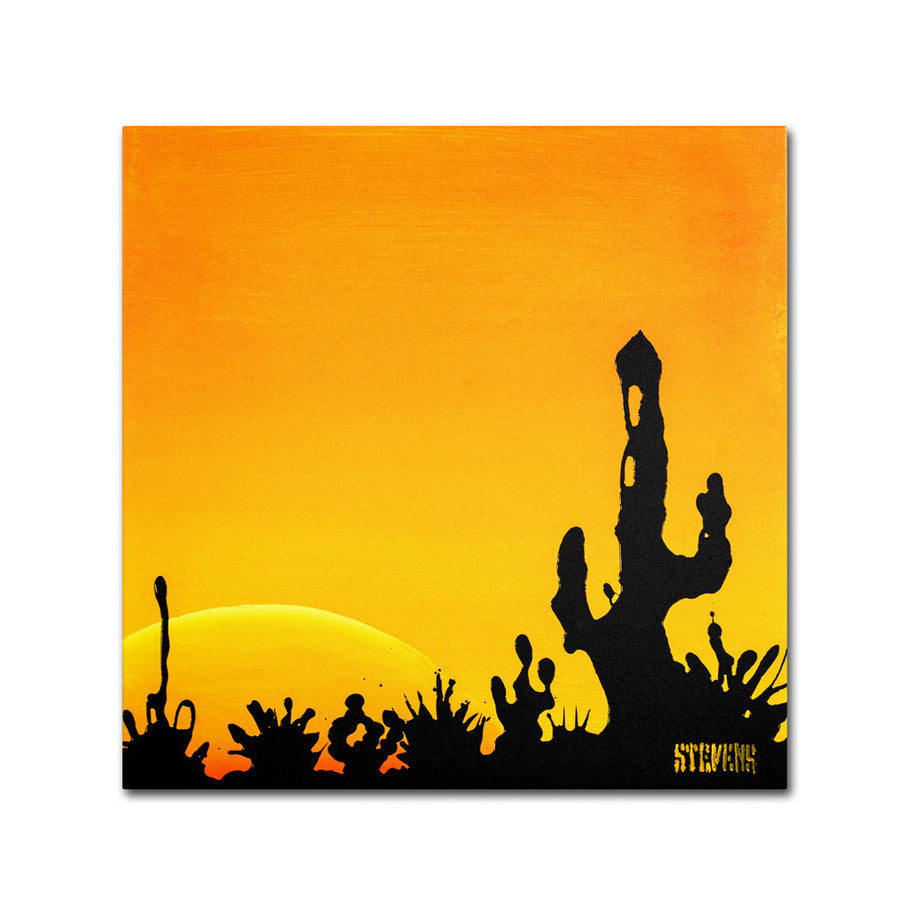 Roderick Stevens Saguaro Sunset Canvas Wall Art 14 x 14 Image 1