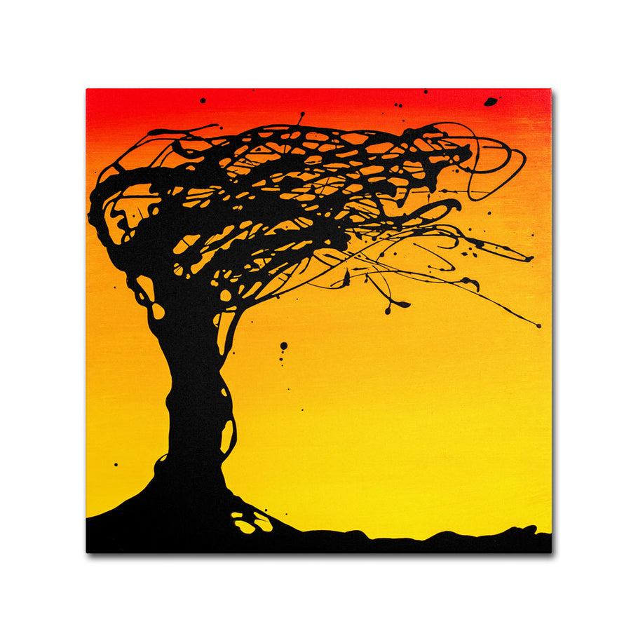 Roderick Stevens Windblown Tree Canvas Wall Art 14 x 14 Image 1