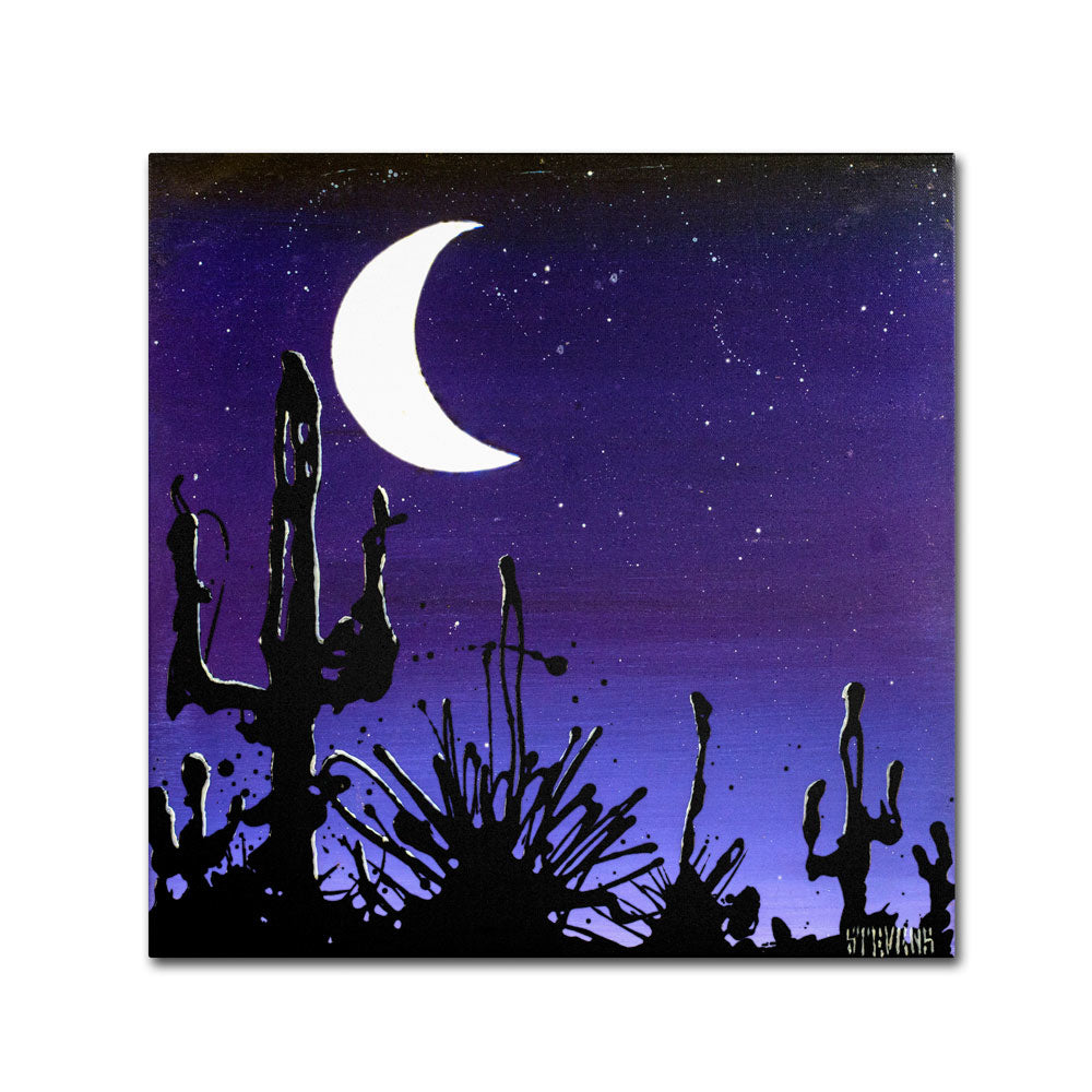 Roderick Stevens Desert Moon Canvas Wall Art 14 x 14 Image 1