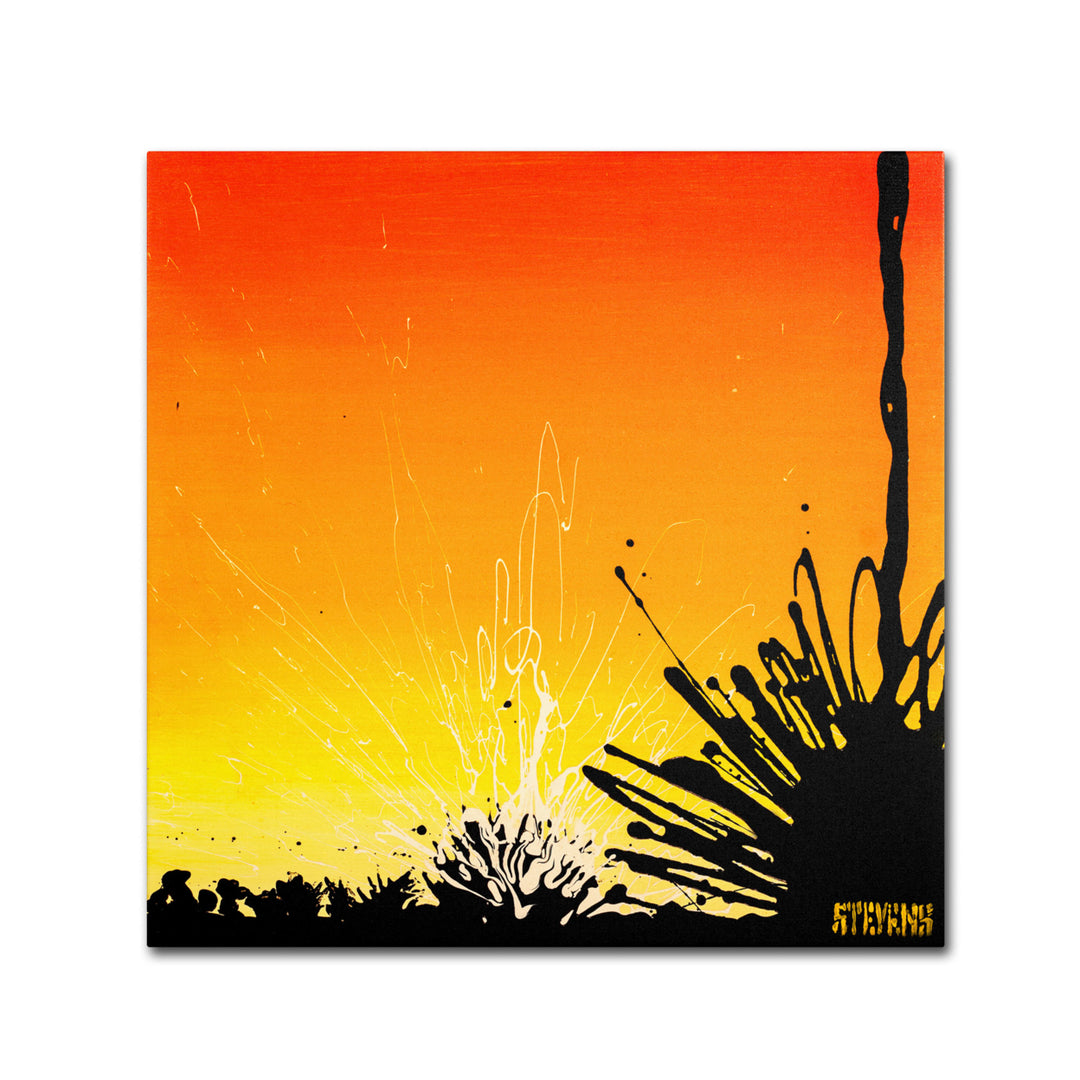 Roderick Stevens Ocotillo Sunburst Canvas Wall Art 14 x 14 Image 2