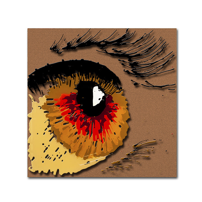 Roderick Stevens Eye 1 Canvas Wall Art 14 x 14 Image 1