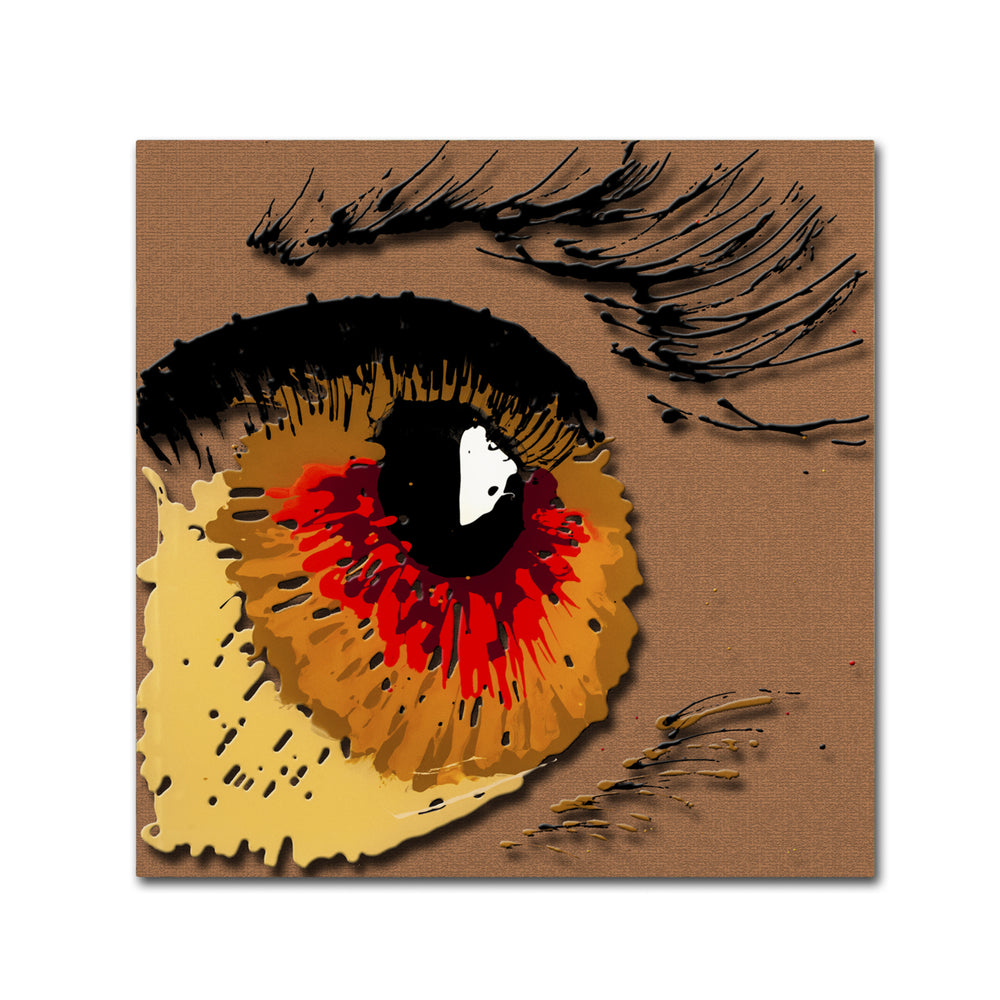 Roderick Stevens Eye 1 Canvas Wall Art 14 x 14 Image 2