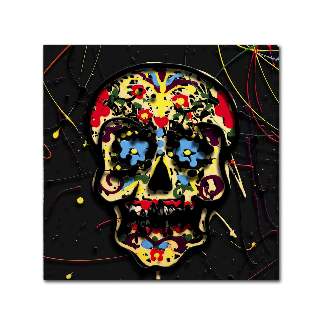 Roderick Stevens Muertos 3 Canvas Wall Art 14 x 14 Image 2