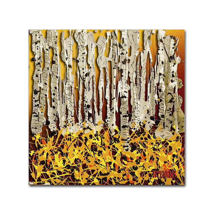 Roderick Stevens Silver Aspens Canvas Wall Art 14 x 14 Image 1