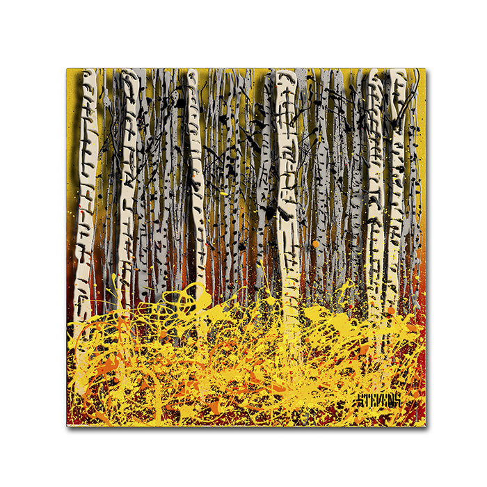 Roderick Stevens Fall Aspens Canvas Wall Art 14 x 14 Image 1