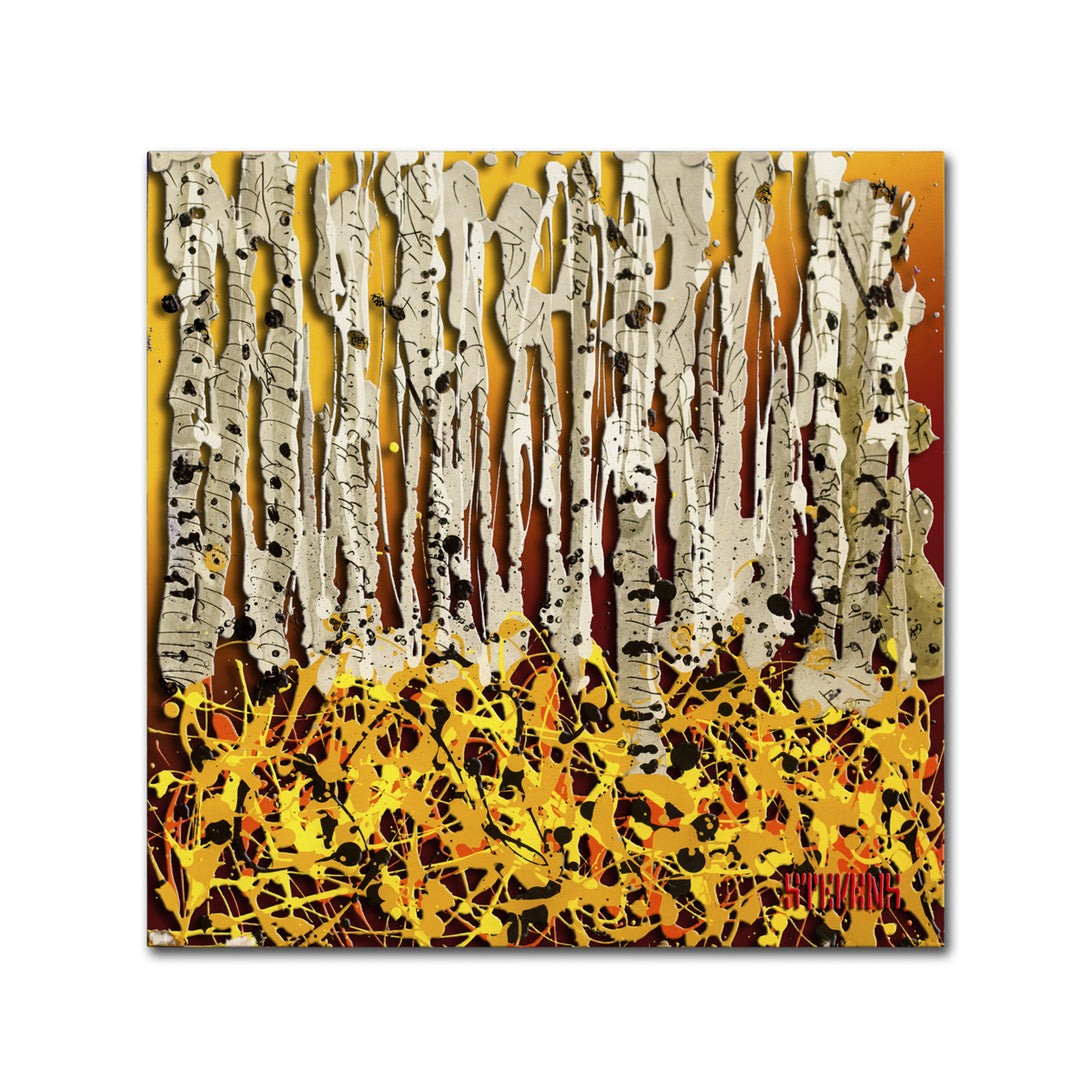 Roderick Stevens Silver Aspens Canvas Wall Art 14 x 14 Image 2