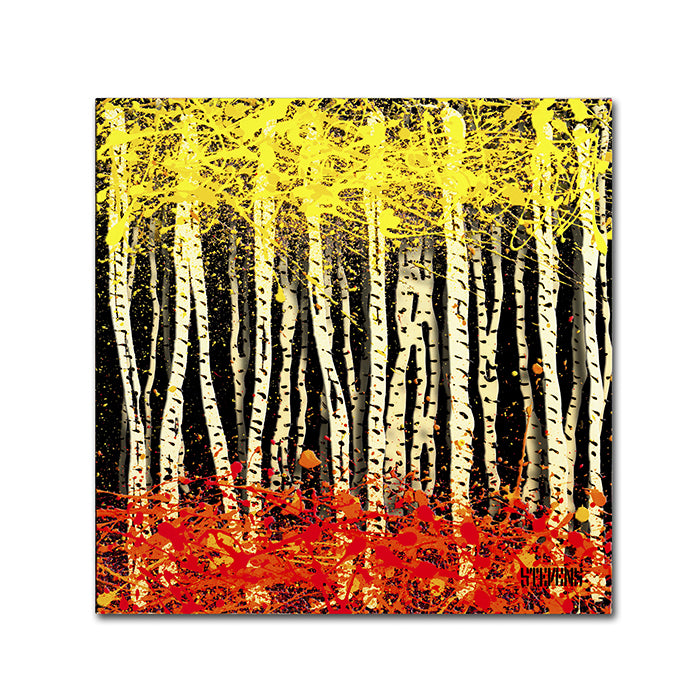 Roderick Stevens White Aspens 2 Canvas Wall Art 14 x 14 Image 1