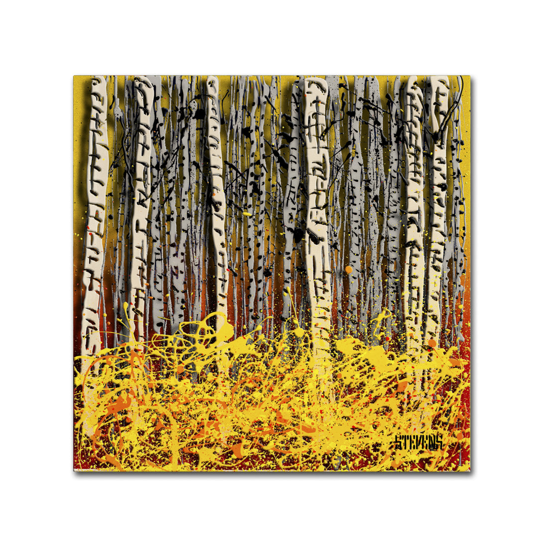 Roderick Stevens Fall Aspens Canvas Wall Art 14 x 14 Image 2