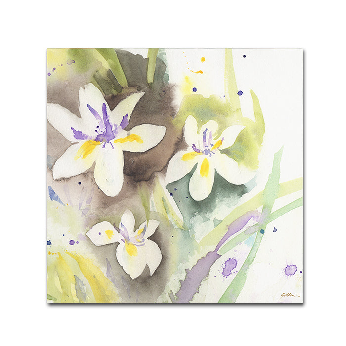 Sheila Golden White Iris Canvas Wall Art 14 x 14 Image 1