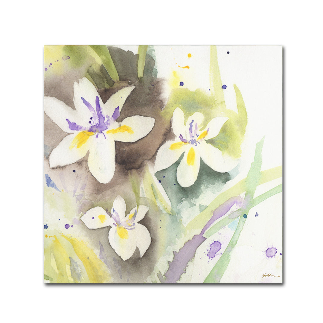 Sheila Golden White Iris Canvas Wall Art 14 x 14 Image 2