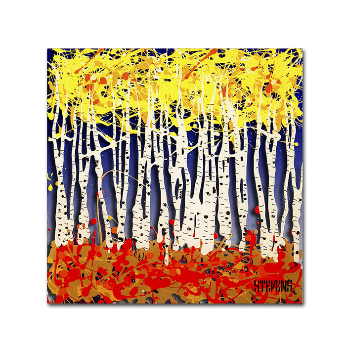 Roderick Stevens White Aspens Canvas Wall Art 14 x 14 Image 1