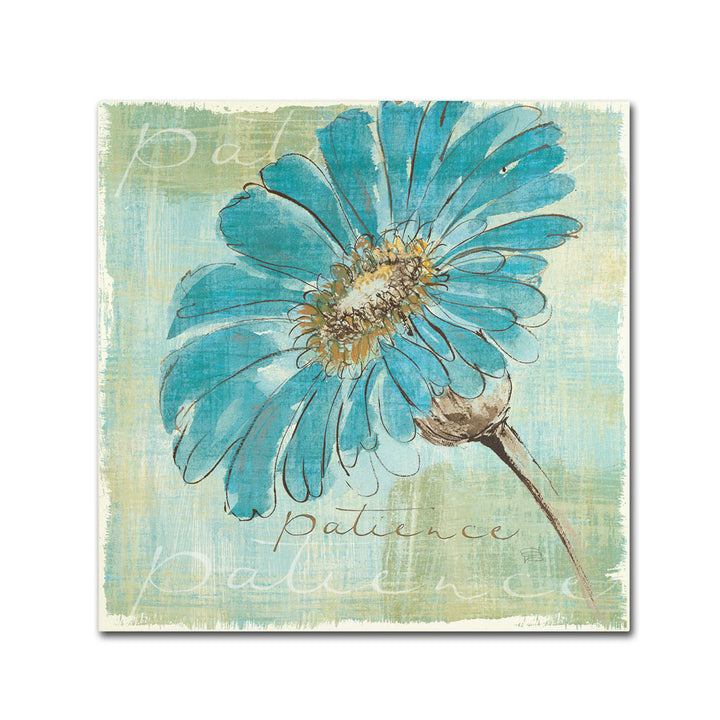 Chris Paschke Spa Daisies II Canvas Wall Art 14 x 14 Image 1