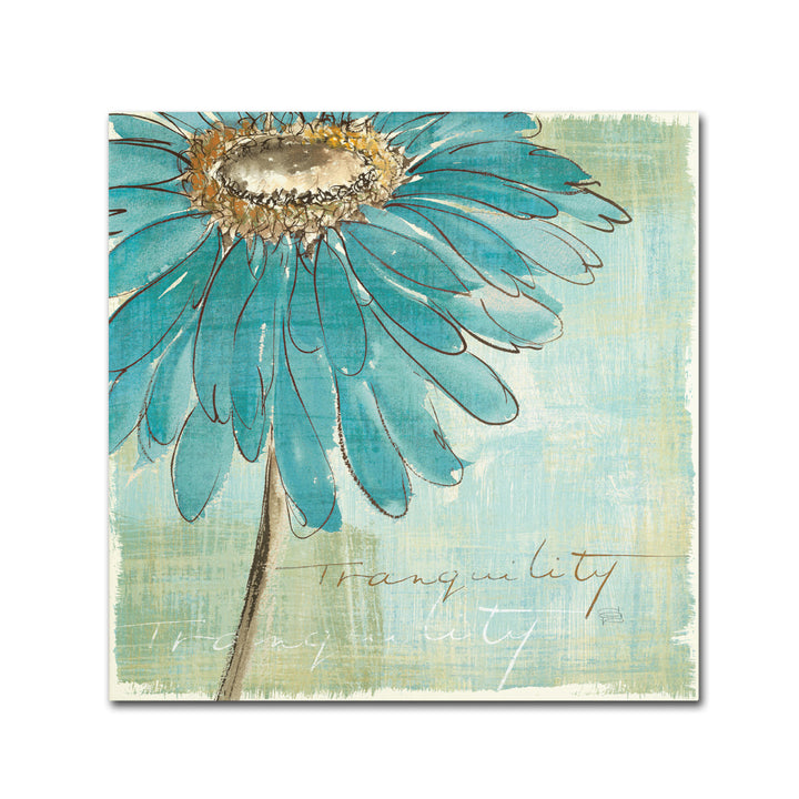 Chris Paschke Spa Daisies III Canvas Wall Art 14 x 14 Image 2