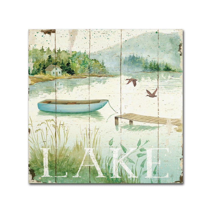 Daphne Brissonnet Lakeside II Canvas Wall Art 14 x 14 Image 1