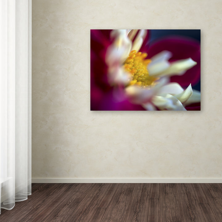 Kurt Shaffer A Different Kind of Dahlia Canvas Wall Art 35 x 47 Inches Image 3