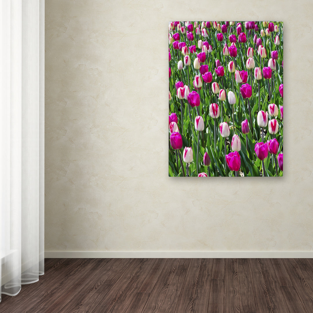 Kurt Shaffer Tulips Canvas Wall Art 35 x 47 Inches Image 3