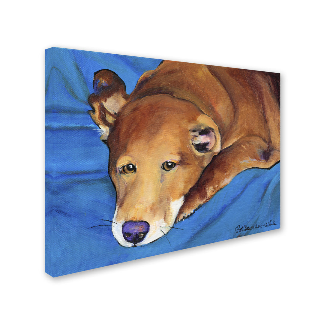 Pat Saunders-White Blue Blanket Canvas Wall Art 35 x 47 Inches Image 2