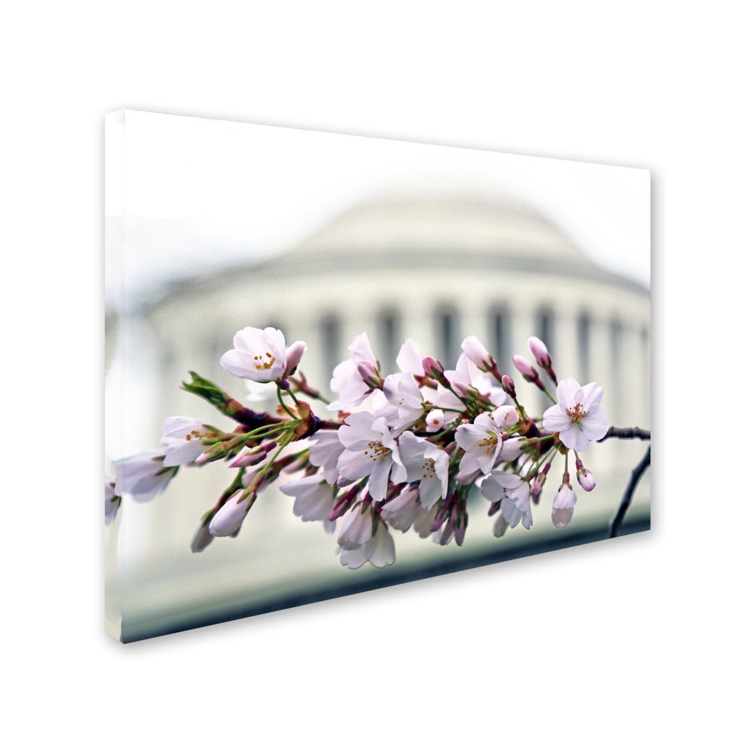 CATeyes Jefferson Memorial Blossoms Canvas Wall Art 35 x 47 Inches Image 2