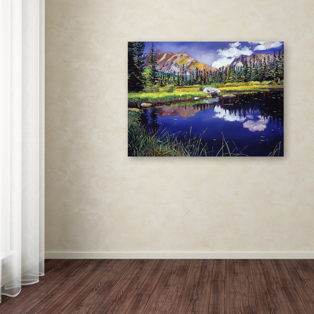 David Lloyd Glover Reflections in Solitude Canvas Wall Art 35 x 47 Inches Image 3