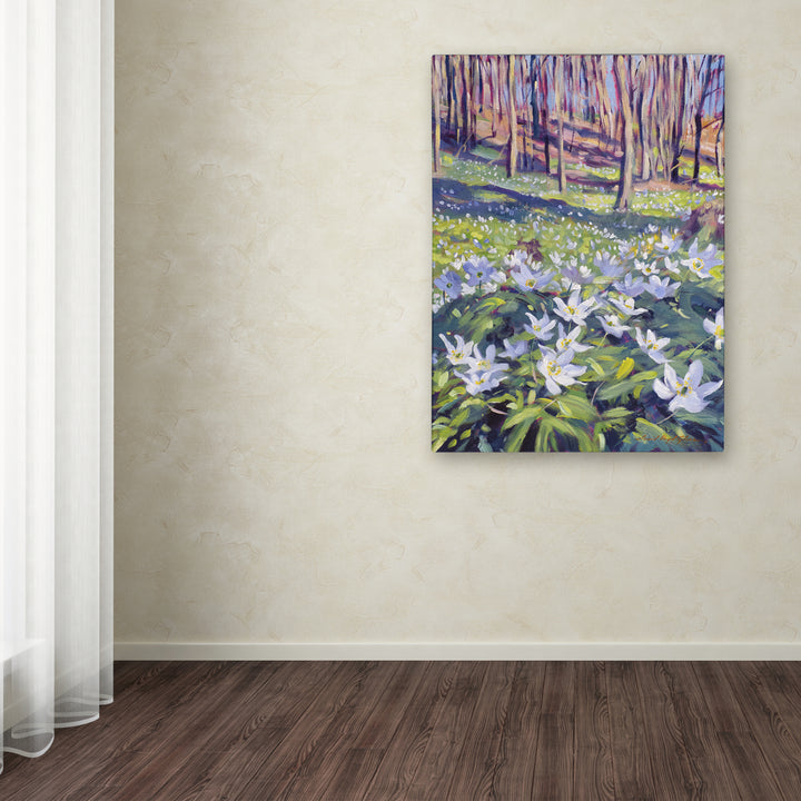 David Lloyd Glover Anemones in the Meadow Canvas Wall Art 35 x 47 Inches Image 3