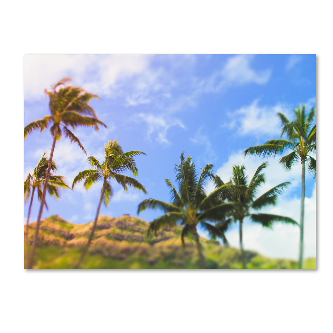 Ariane Moshayedi Hawaiian Palms Canvas Wall Art 35 x 47 Inches Image 1