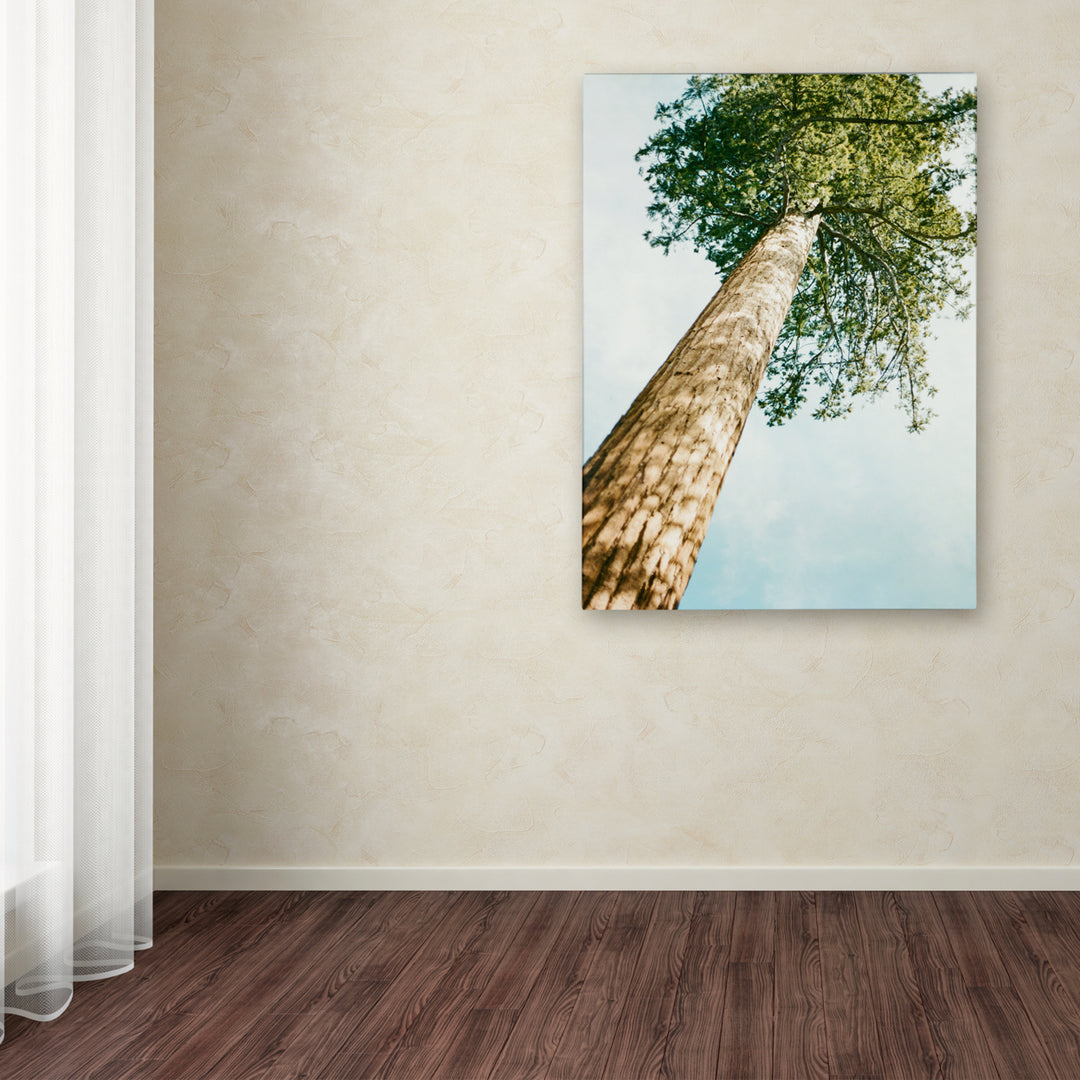 Ariane Moshayedi Giant Tree Canvas Wall Art 35 x 47 Inches Image 3