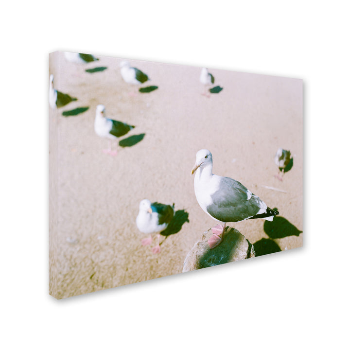 Ariane Moshayedi Seagull Closeup Canvas Wall Art 35 x 47 Inches Image 2