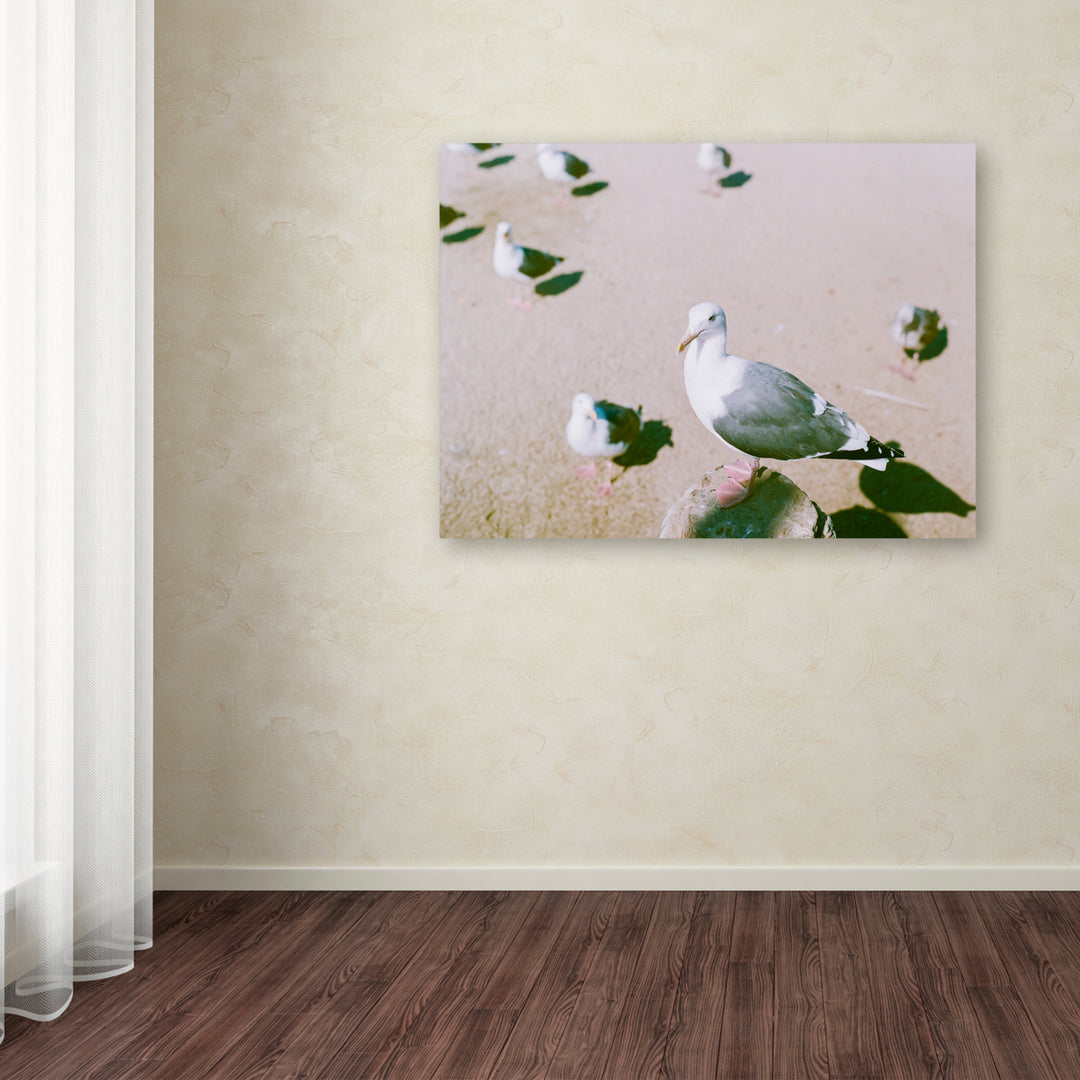 Ariane Moshayedi Seagull Closeup Canvas Wall Art 35 x 47 Inches Image 3