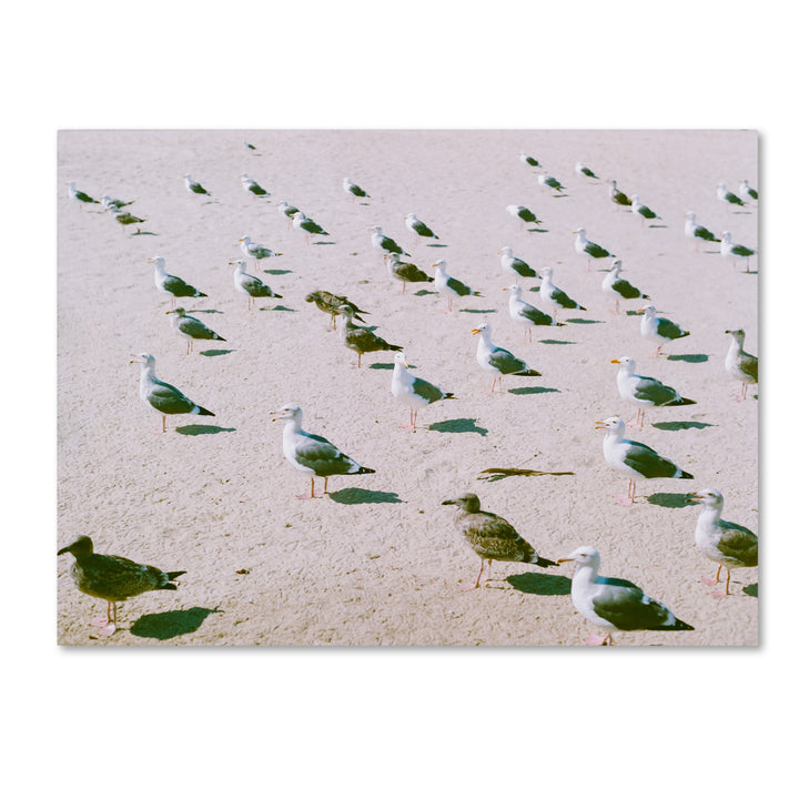 Ariane Moshayedi Seagulls at the Beach Canvas Wall Art 35 x 47 Inches Image 1