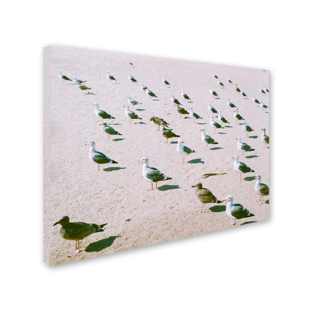 Ariane Moshayedi Seagulls at the Beach Canvas Wall Art 35 x 47 Inches Image 2