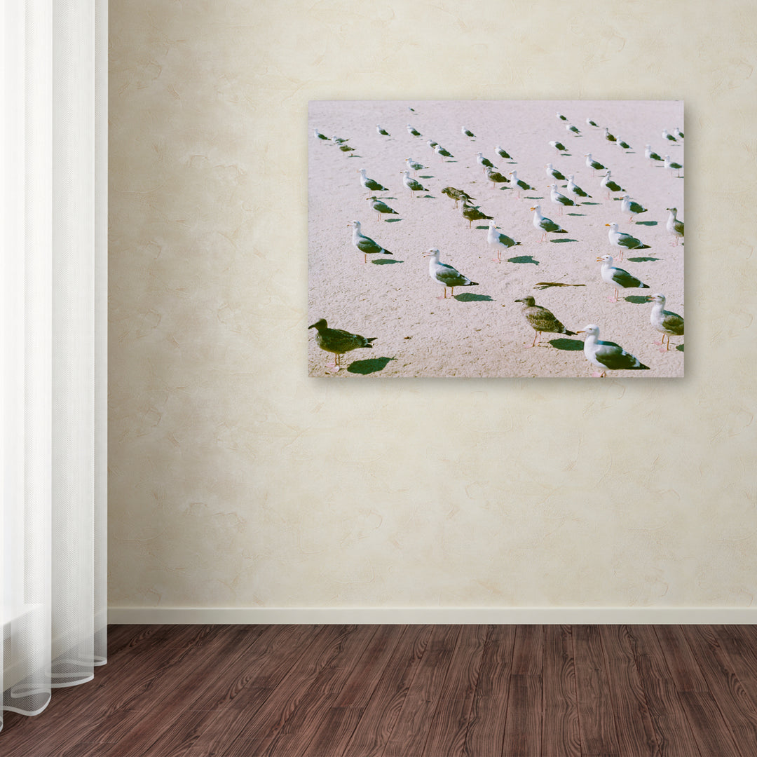 Ariane Moshayedi Seagulls at the Beach Canvas Wall Art 35 x 47 Inches Image 3