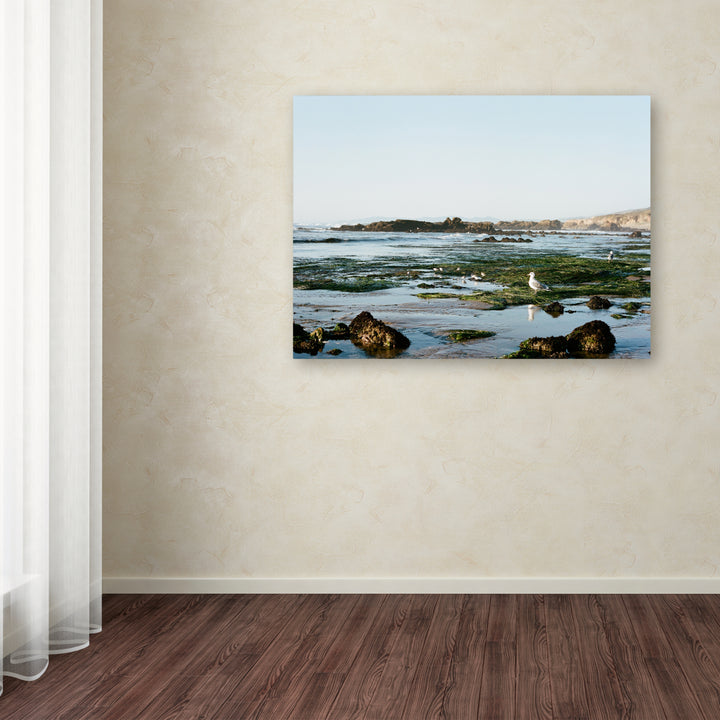 Ariane Moshayedi Seagull Low Tide Canvas Wall Art 35 x 47 Inches Image 3