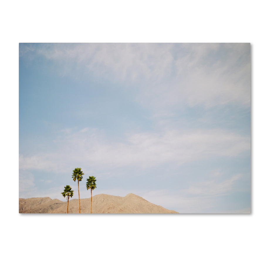 Ariane Moshayedi Three Palms Canvas Wall Art 35 x 47 Inches Image 1