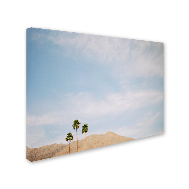 Ariane Moshayedi Three Palms Canvas Wall Art 35 x 47 Inches Image 2