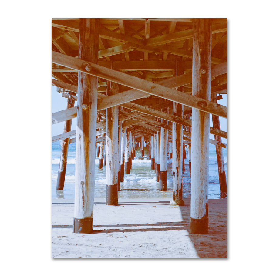 Ariane Moshayedi Under Pier 2 Canvas Wall Art 35 x 47 Inches Image 1