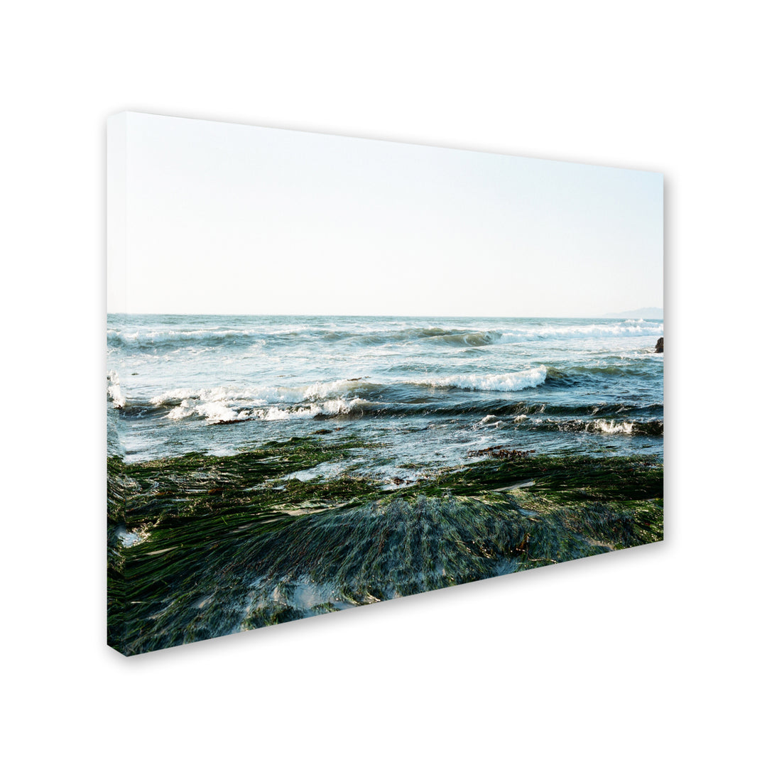 Ariane Moshayedi Waves Rolling In Canvas Wall Art 35 x 47 Inches Image 2