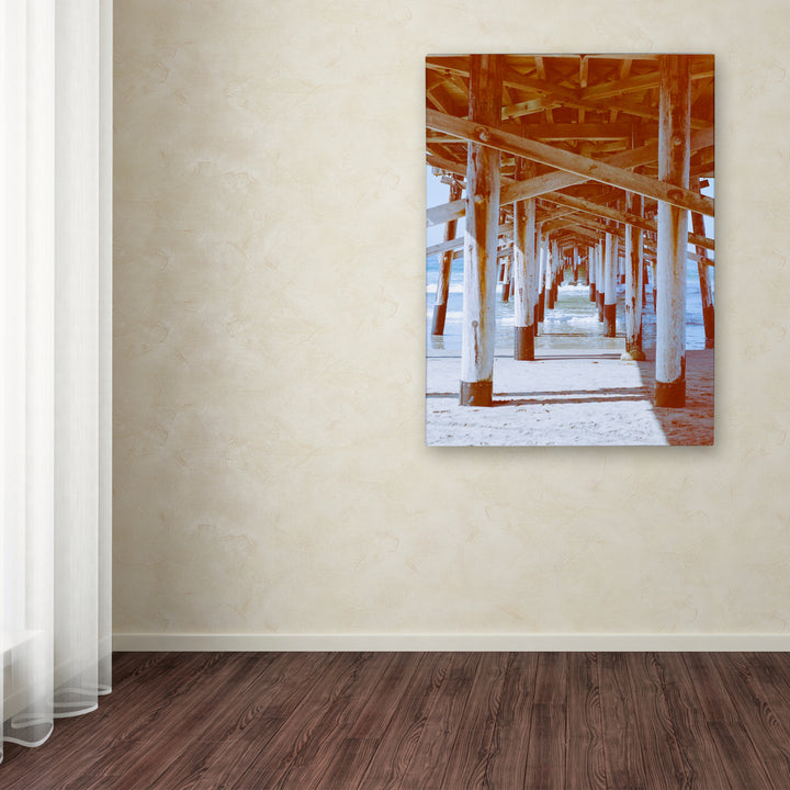 Ariane Moshayedi Under Pier 2 Canvas Wall Art 35 x 47 Inches Image 3