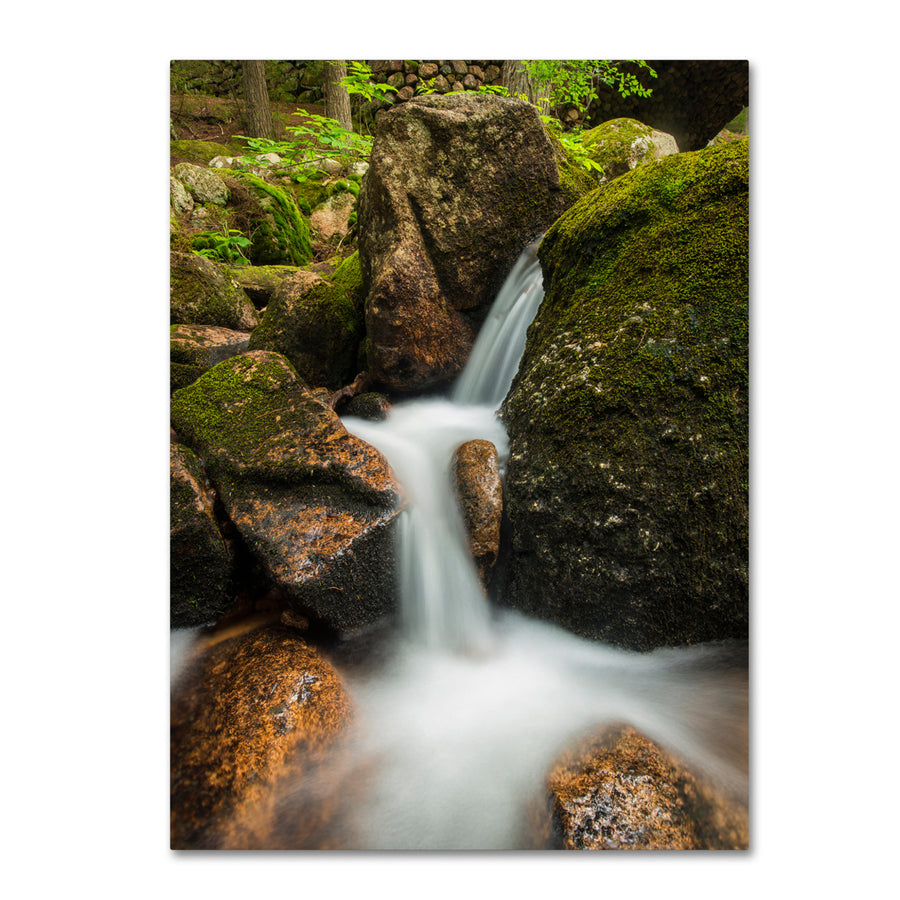 Michael Blanchette Photography Granite Cascade Canvas Wall Art 35 x 47 Inches Image 1