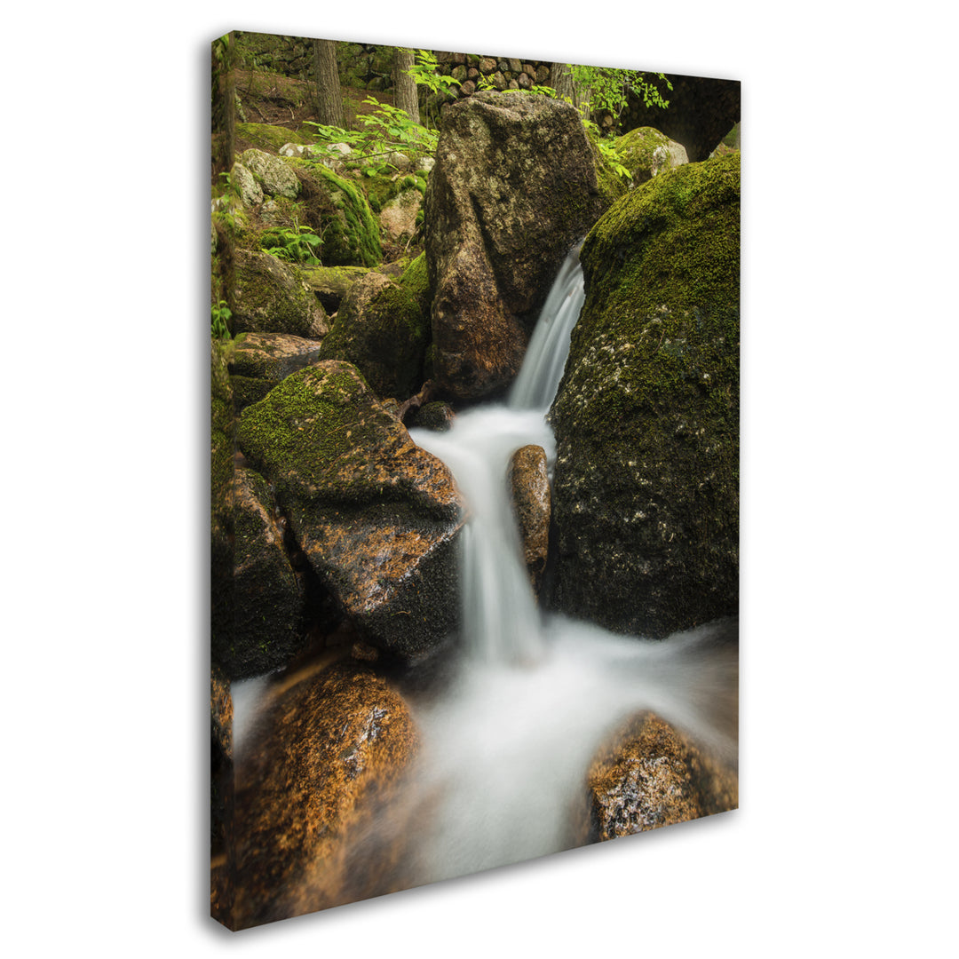 Michael Blanchette Photography Granite Cascade Canvas Wall Art 35 x 47 Inches Image 2