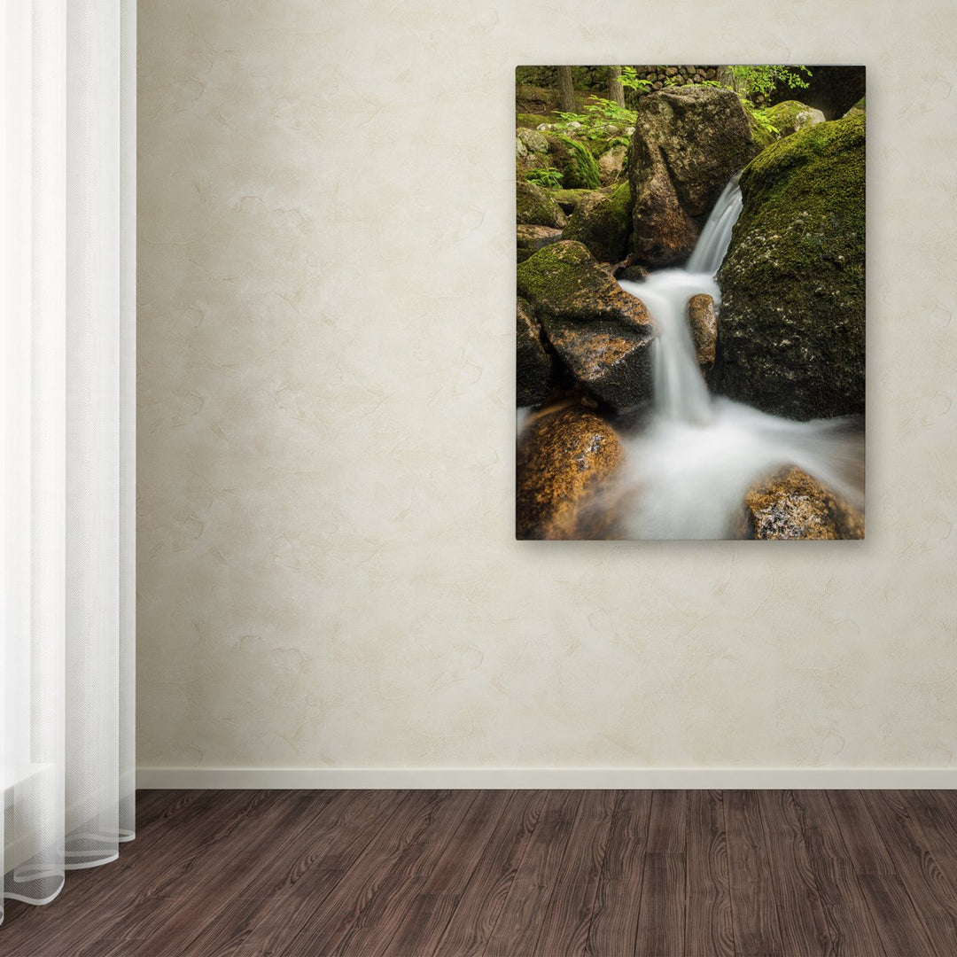 Michael Blanchette Photography Granite Cascade Canvas Wall Art 35 x 47 Inches Image 3