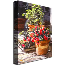 David Lloyd Glover Blossom Niche Canvas Wall Art 35 x 47 Image 3