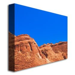 Ariane Moshayedi Red and Blue Canvas Wall Art 35 x 47 Image 3