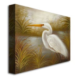 Rio White Heron Canvas Wall Art 35 x 47 Image 3