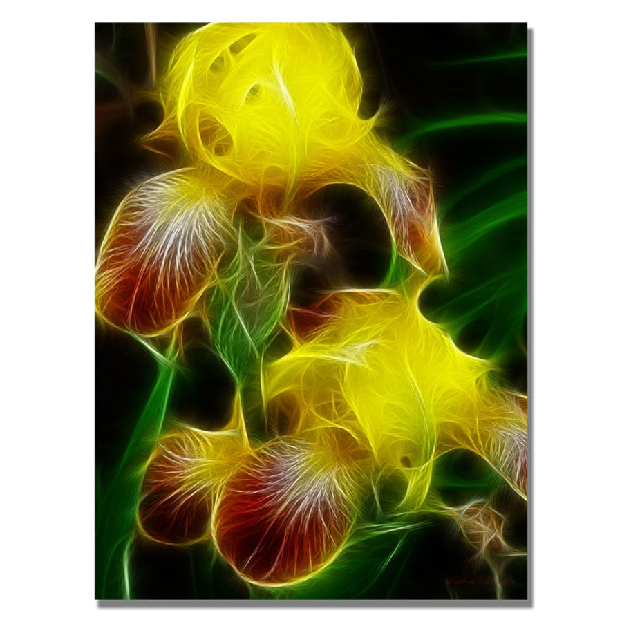 Kathie McCurdy Yellow Iris Canvas Wall Art 35 x 47 Image 1