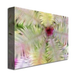 Kathie McCurdy Fern Center Canvas Wall Art 35 x 47 Image 3