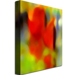 Amy Vangsgard Park Afternoon Canvas Wall Art 35 x 47 Image 3