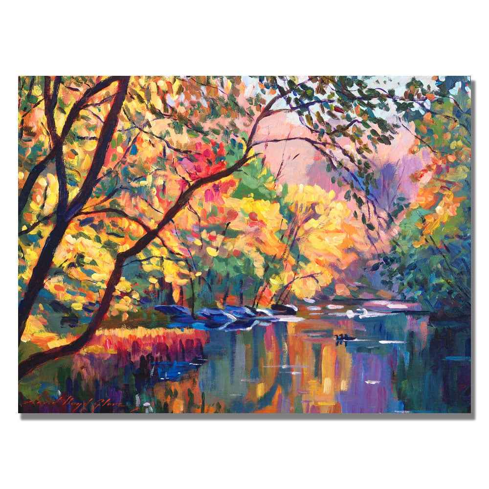 David Lloyd Glover Color Reflections Canvas Wall Art 35 x 47 Image 1