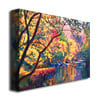 David Lloyd Glover Color Reflections Canvas Wall Art 35 x 47 Image 2